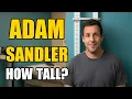 Adam Sandler Height How Tall Is Adam Sandler
