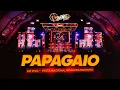 Lagu RAINHA MUSICAL - PAPAGAIO AO VIVO (FESTA NACIONAL DO MORANGUINHO)