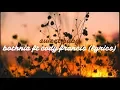 sweet baby // bothnia ft cody francis