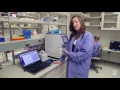 Fairweather Lab Tour