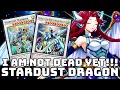 Stardust Dragon is Unstoppable with this Build