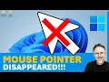 My Mouse Cursor Pointer Disappeared in Windows 10 or 11 Shortcut Keys to Reinstate Mouse