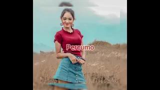 Download Percumo baen ngomong demen Kadhung wong liyo hang di angen || Percumo MP3