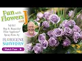 Introducing the NEW Blue Applause Spray Rose from Florigene and Suntory Flowers