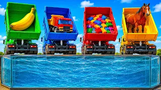 Sink or Float with Fruit, Truck Car, Color Block Toy Play for Kids