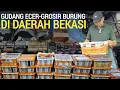 Download Lagu TERCIDUK ! GUDANG BURUNG MURAH DI BEKASI ECER DAN GROSIR PARTAI PASAR BURUNG PRAMUKA LEWAT DULU