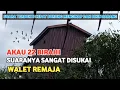 Download Lagu SP Akau 22 Birahi | SANGAT AMPUH MEMIKAT WALET REMAJA