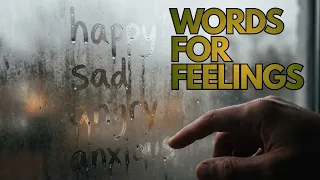 You Only Feel 4 Emotions Science Explains Why