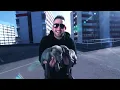 Milonair ft. Haftbefehl & Hanybal - Bleib mal locker lan [Official Video] prod. by Abaz