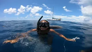 Ep.188 LOOSING ANCHOR in the middle of the Reef