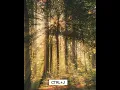 How to Create Realistic Sun Rays in Photoshop - Tutorial
