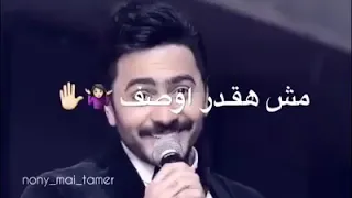 مش هقدر اوصف بحبك قد اى  تامر دندنها