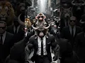 Download Lagu From Nobody to Boss… Or Just a Dream? 🐒😎