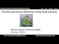 Tomato Leaf Disease Detection Using Deep Learning Tomato Plant Disease Detection Using Python Code