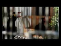 Lagu Mitha Talahatu ft.Jones Watimena - IKO BETA