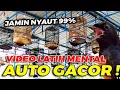 Download Lagu FULL KESUKAAN JURI SUARA PANCINGAN MURAI GACOR PAGI HARI GACOR FULL KRETEK 100 % CEPAT RESPON