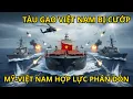 Tàu Gạo Việt Nam Bị Cướp Biển Tấn Công – Mỹ Hỗ Trợ Cấp Tốc Giữa Biển Đông!