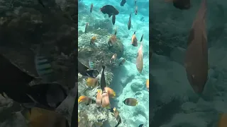 Can you believe this is in Bali? #bali #indonesia #balitravelguide #travel #aroundtheworld #solo