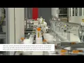 High Throughput Automated Testing 2022