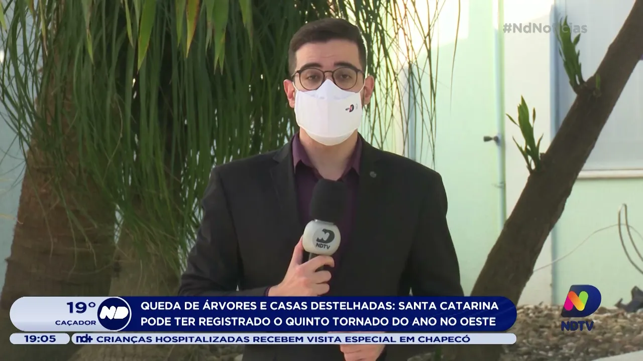 Queda de árvores e casas destelhadas: Santa Catarina pode ter registrado o quinto tornado do ano