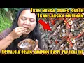 Download Lagu BERBURU DAN MEMASAK IKAN MENGA DI JAMIN PENGEN PULKAM