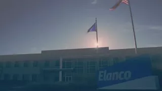 Elanco Careers Why I chose Elanco