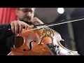 BORN WITH A BROKEN HEART - Damiano David - (String Quartet Cover) - Time2Quartet