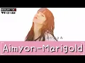 Download Lagu Marigold - Aimyon | Lirik dan Terjemahan Lagu Aimyon - Marigold/マリーゴールド