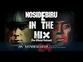 NosidEbiru - IN THE MIX VOL.24