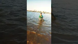 نهر النيل مليان خير ماشاء الله 