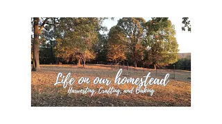 Enjoying a simple life on the homestead [Harvesting, Crafting and Baking]