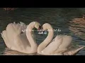 old love - yuji & putri dahlia (sped up)