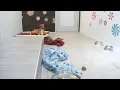 Holiday Puppy Cam Live from the San Francisco SPCA