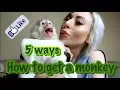 How To Get A Monkey
