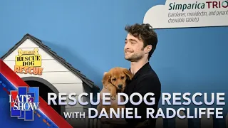 Download Rescue Dog Rescue With Daniel Radcliffe MP3