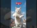 Download Lagu Cintaku hanya kamu, cinta merah jambu#kucing #cat  #joget #lucu #beranda