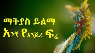 Ethiopia Amharic Music Matias Yelma ማትያስ ይልማ Anchi Ye Enjori Fré አንቺ የእንጆሪ ፍሬ 