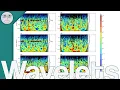 Wavelets