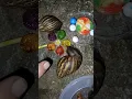 Download Lagu Permen!! Lucunya siput ini makan permen #permen #siput #snail #candy #shorts #funny