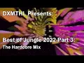 Download Lagu Best Of Jungle 2022 Part 3: The Hardcore Mix