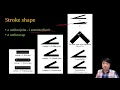 SWTT Postscript Tutorial 10 - Clipping Line shape