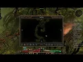 Grim Dawn Meddling Witch