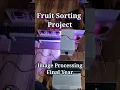 Fruit Sorting Engineering Project Image Processing Python OpenCV