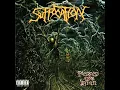 Pierced from Within - Suffocation
