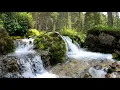 Download Lagu background video pemandangan alam - video background air terjun DOWNLOAD DIDESKRIPSI