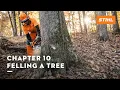 Download Lagu Chapter 10: Felling a Tree | STIHL Tutorial
