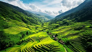 Vietnam | A Cinematic Travel Film | Nikon Z8
