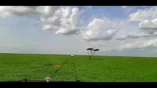 خريف السودان خضرة على مد البصر 