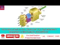 Exploded Views in CAD The Secret to Clear Assembly Drawings