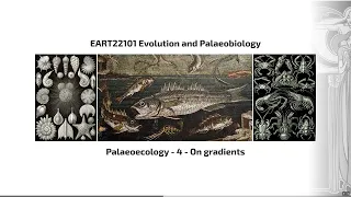 Palaeoecology, Video 4 - EART22101 - Palaeobiology and Evolution - 2024